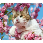 Коврик для мыши PERFEO PF_D0677, size: 194x233x3mm «Cat», Рис.33 (1/250)
