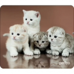 Коврик для мыши PERFEO PF_D0674, size: 194x233x3mm «Cat», Рис.30 (1/250)