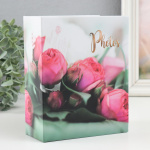 Фотоальбом Pioneer 200ф 10х15, к:122533, Photos (LM-4R200) (1/12)