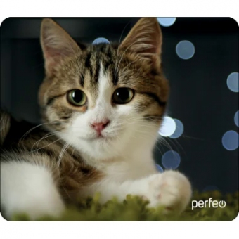 Коврик для мыши PERFEO PF_D0675, size: 194x233x3mm «Cat», Рис.31 (1/250)