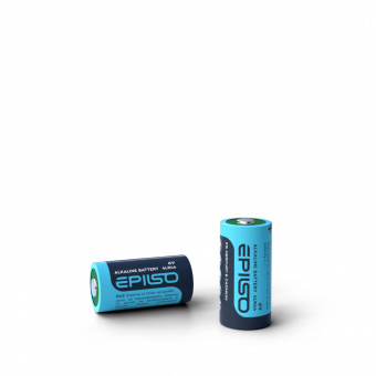 Элементы питания EPILSO 4LR44 1BL, 6.0V (1/12/240)