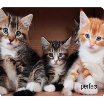 Коврик для мыши PERFEO PF_D0643, size: 350x250x4mm «Cat», Рис.6 (1/100)